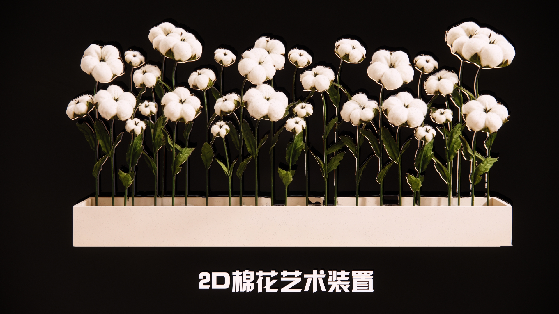 棉花2D艺术装置